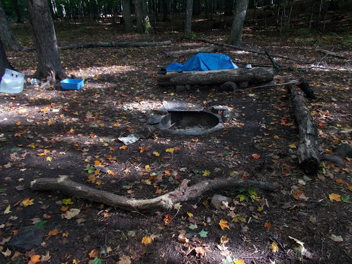 Loon Campground 5