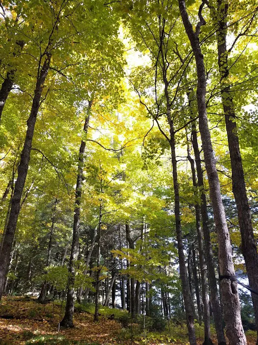 Loon Campground 9