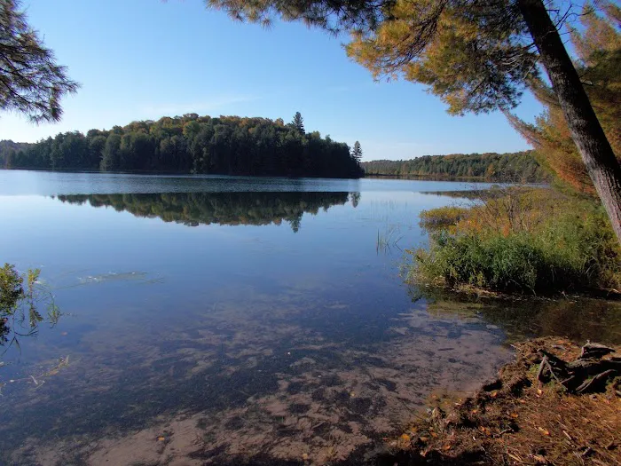 Loon Campground 8