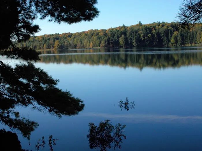 Loon Campground 7