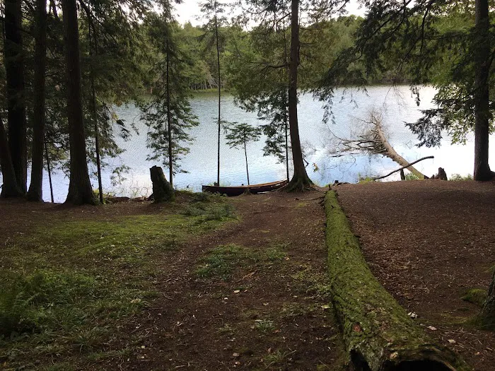 Chipmunk Campground 1