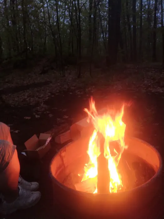 Forestville Campground 3