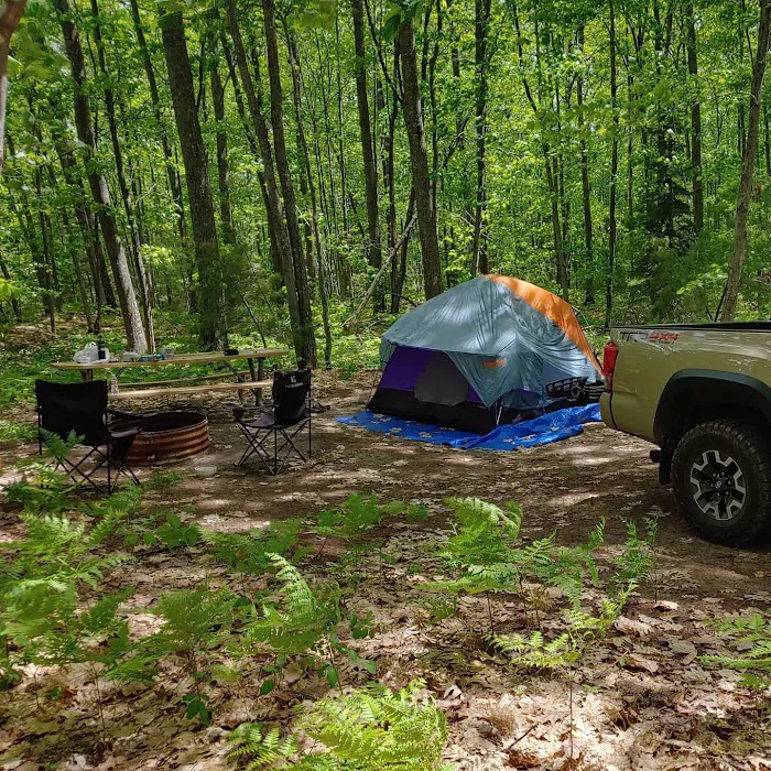 Forestville Campground 4