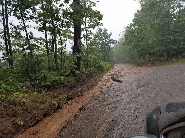 Forestville Campground 6