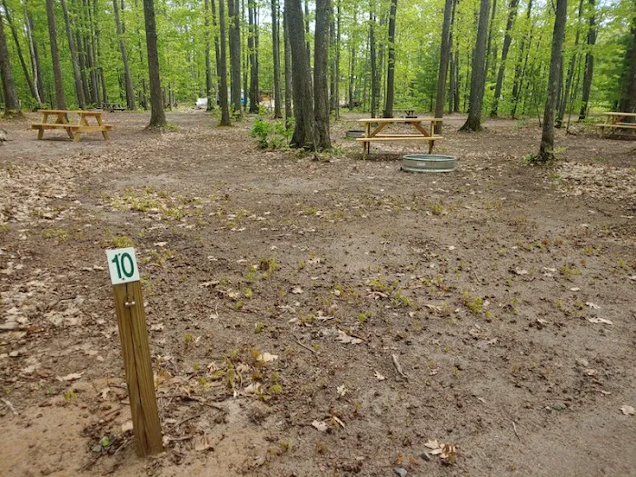 Forestville Campground 1