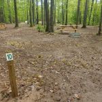 Forestville Campground