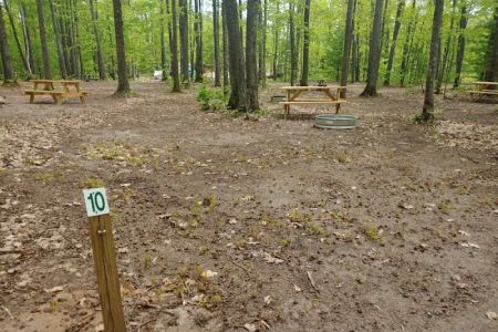 Forestville Campground