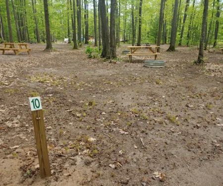 Forestville Campground
