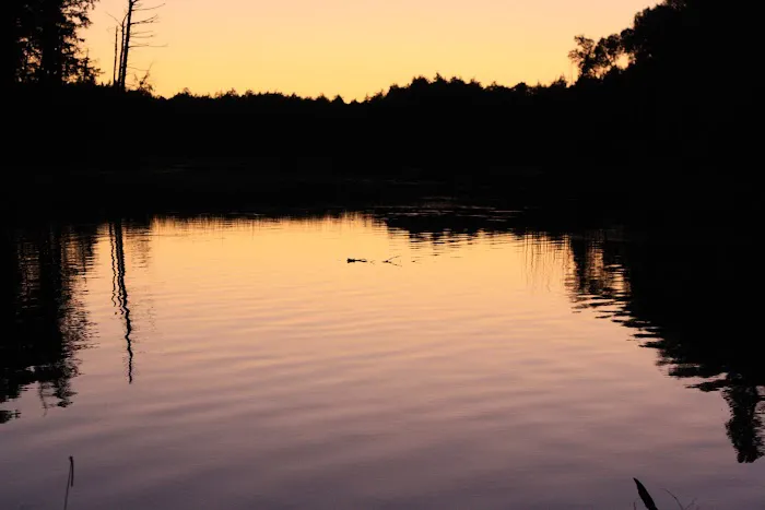 Bass Campground 2