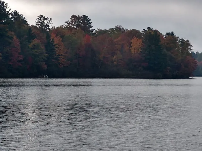 Upper Gresham Lake State Forest Campground 8