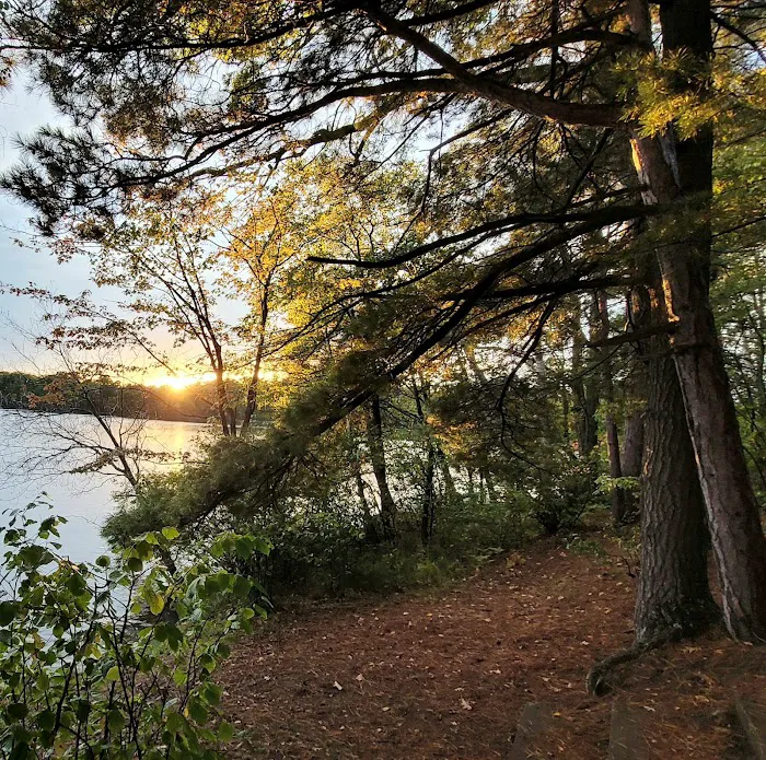 Upper Gresham Lake State Forest Campground 10