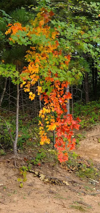 Camp Holiday Campground 5