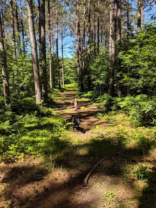 Birchwood Campground 9