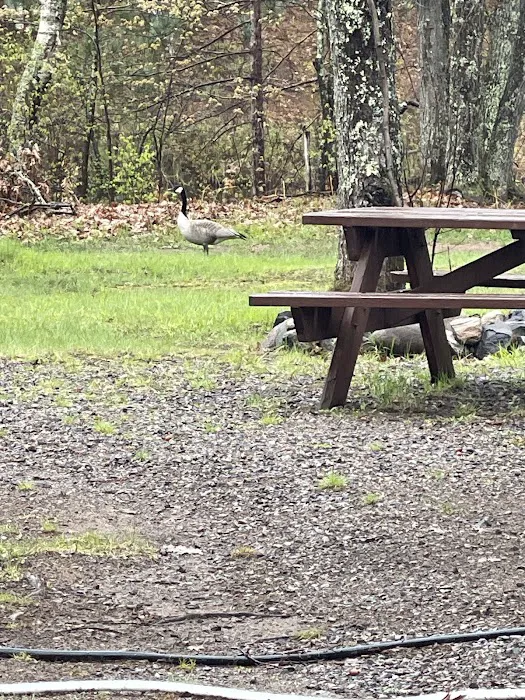 Birchwood Campground 2