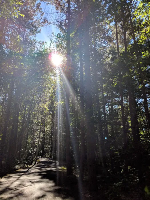 Birchwood Campground 8