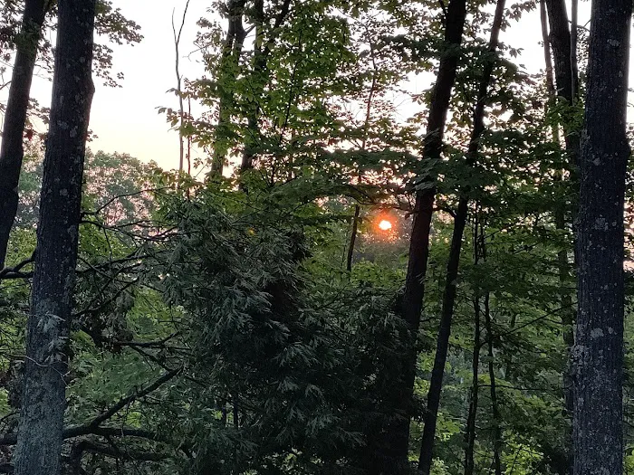 Birchwood Campground 7