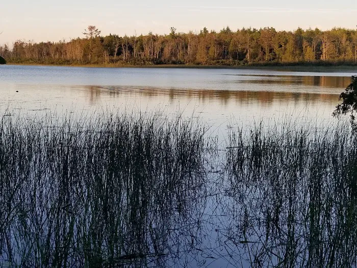 AuTrain Lake Campground 6