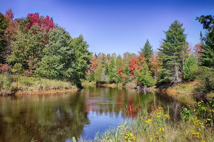 Mead Creek State Forest Campground 4