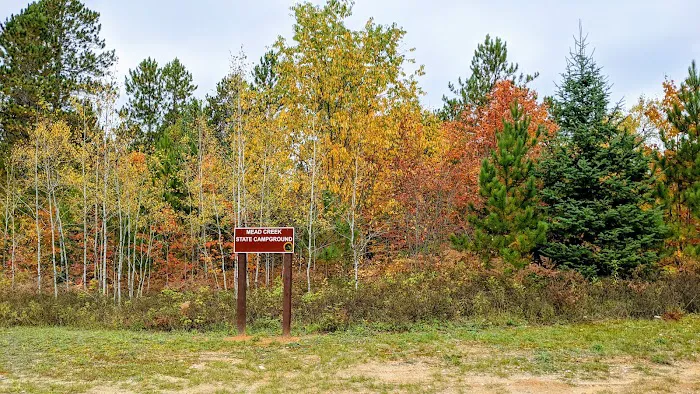 Mead Creek State Forest Campground 8