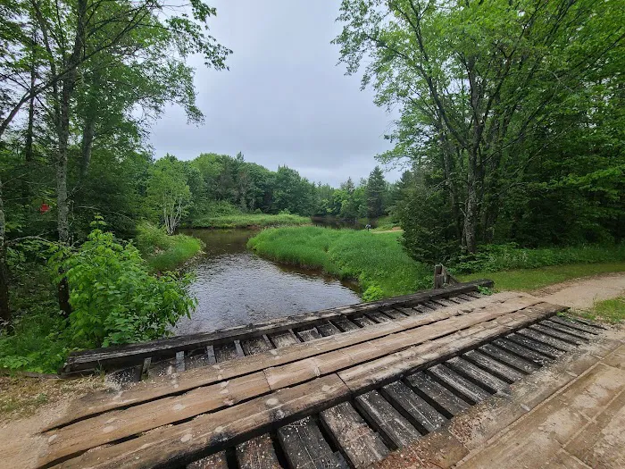 Mead Creek State Forest Campground 9