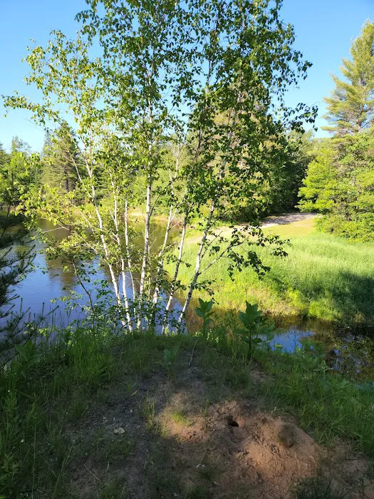 Mead Creek State Forest Campground 6