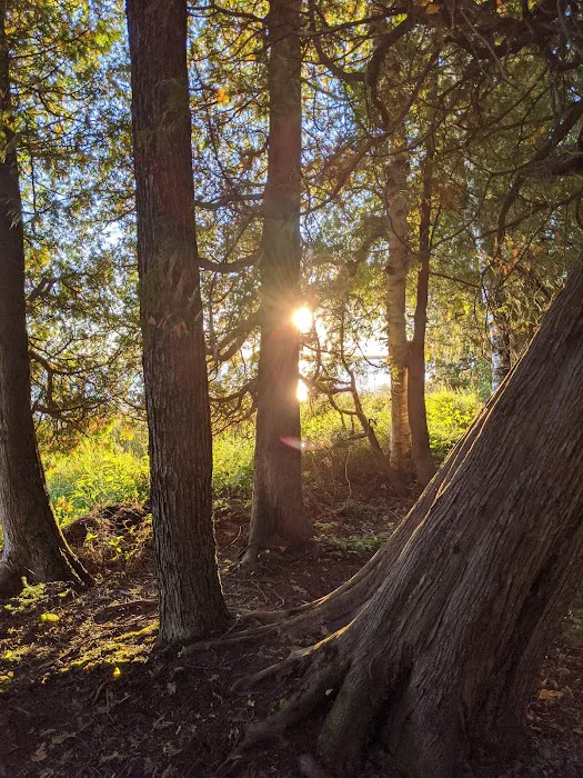 Milakokia Lake Campground 10