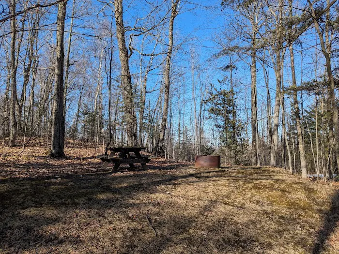 Milakokia Lake Campground 2