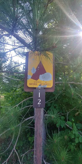 Island Lake Campsite 4