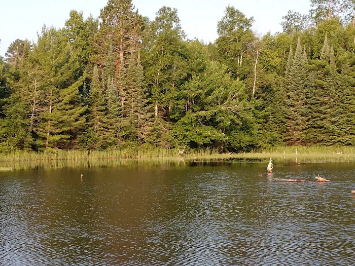 Island Lake Campsite 2