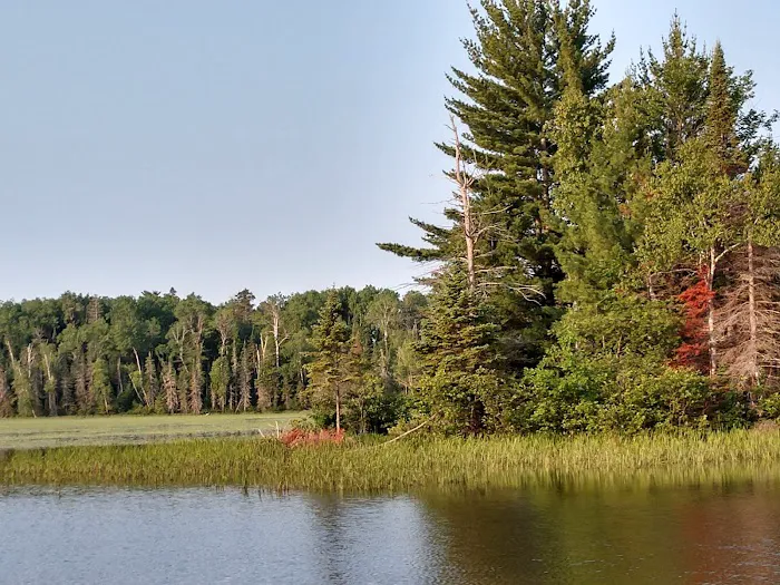 Island Lake Campsite 1