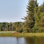Island Lake Campsite