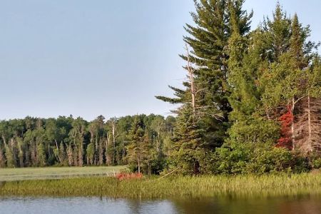Island Lake Campsite