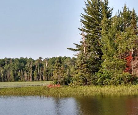 Island Lake Campsite
