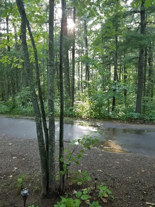 Big Lake Campground 4