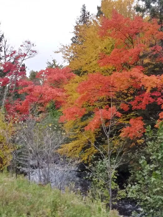 Schomberg County Park Campground 1