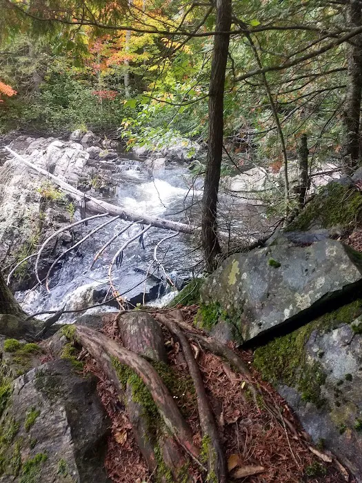 Upson Falls campground 10