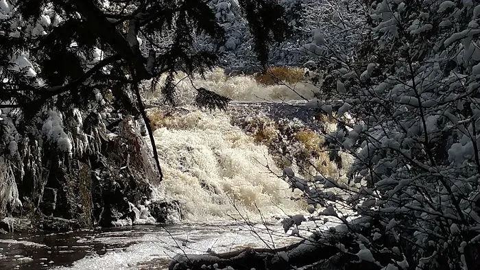 Upson Falls campground 3