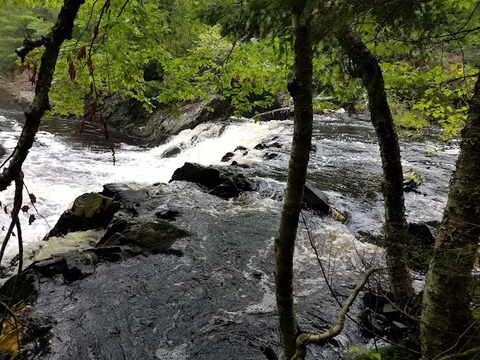 Upson Falls campground 7