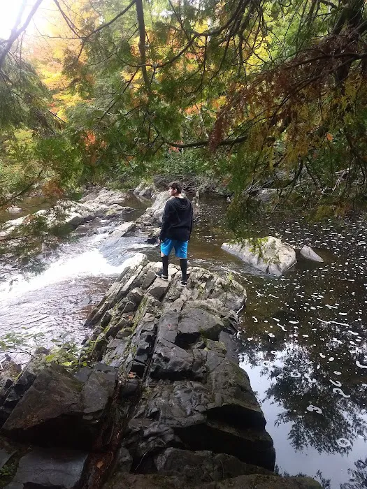 Upson Falls campground 8
