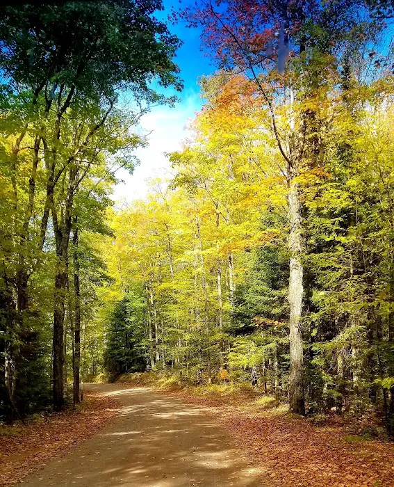 Presque Isle Campground 9