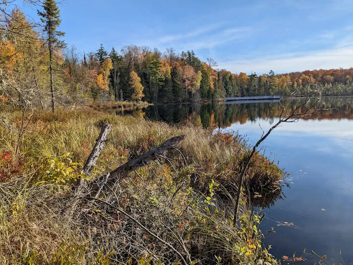 Henry Lake Campground 7