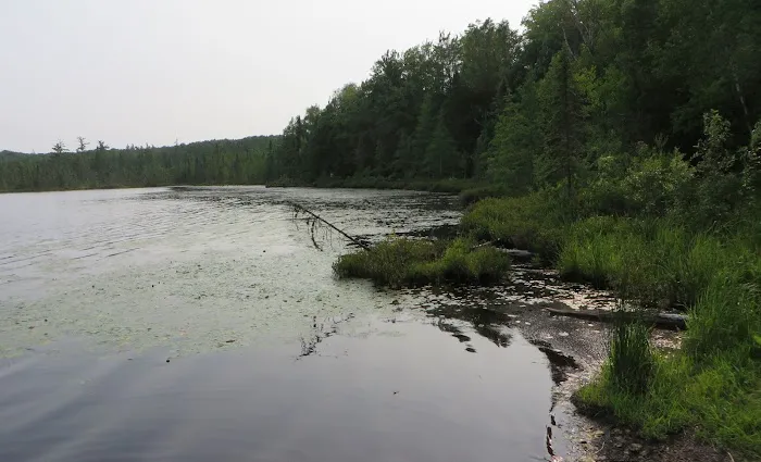 Henry Lake Campground 9