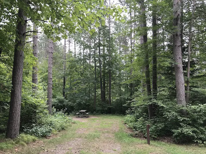 Day Lake Campground 5