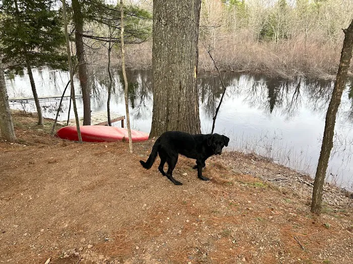 Bad River Wilderness Campsites 2