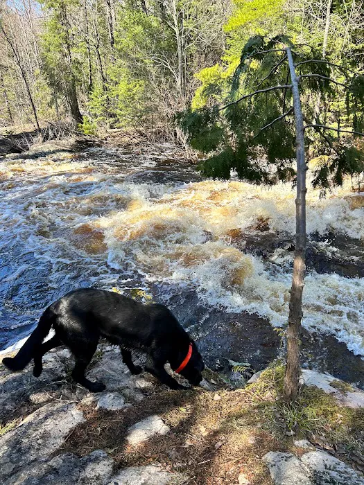Bad River Wilderness Campsites 3