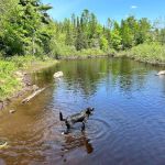 Bad River Wilderness Campsites