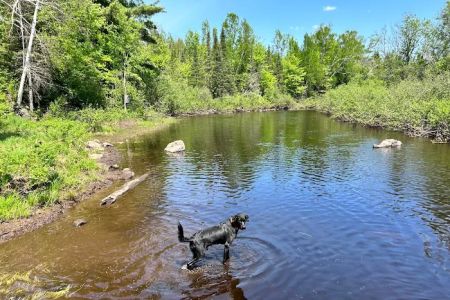 Bad River Wilderness Campsites