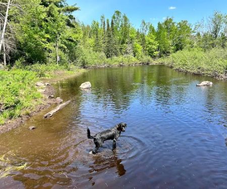 Bad River Wilderness Campsites