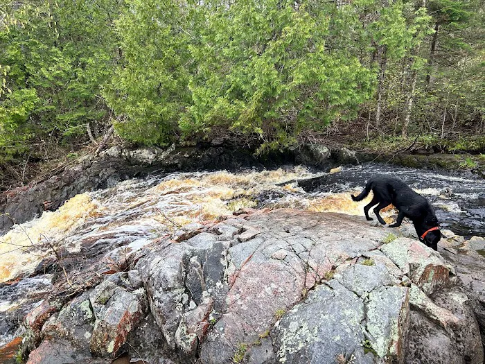 Bad River Wilderness Campsites 9