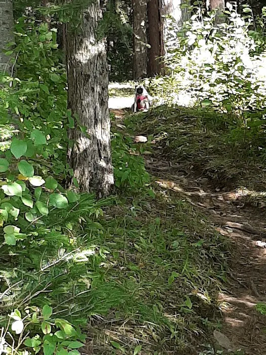 Beaver Lake Campground 1